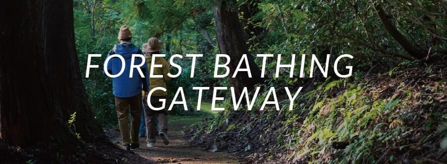 FOREST BATHING GATEWAY